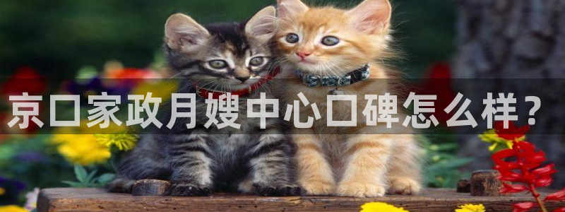 杏悦官方平台是正品吗知乎