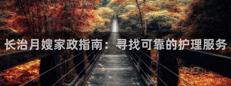 杏悦是什么平台