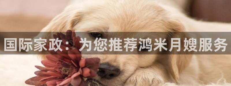 杏悦主管