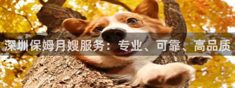 杏悦官方平台官网入口