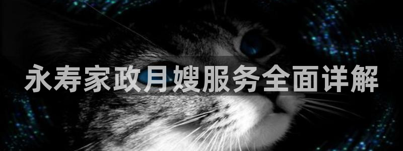 杏悦平台代理怎么做