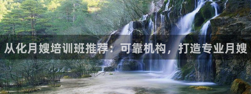 杏悦平台如何