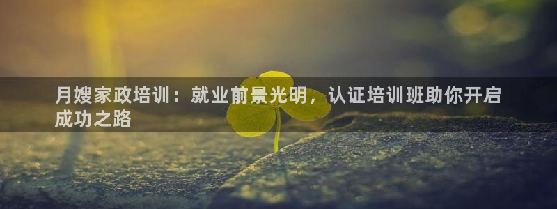 杏悦平台代理怎么赚钱
