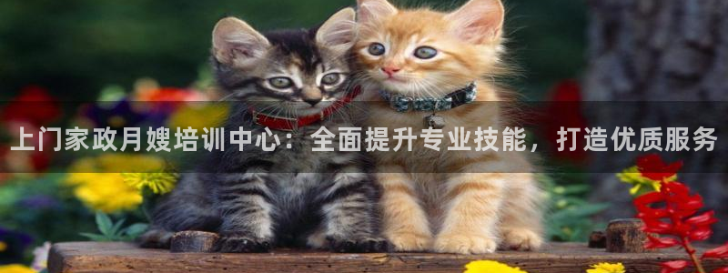 杏悦招商地址