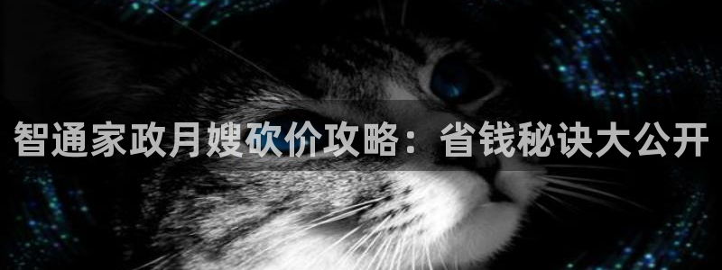 杏悦平台招商电话