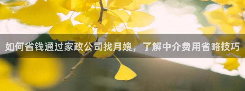 杏悦靠谱吗