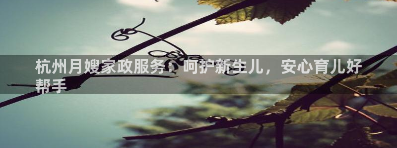 杏悦平台代理怎么做的