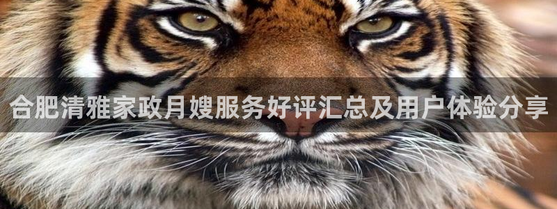 杏悦平台代理怎么赚钱