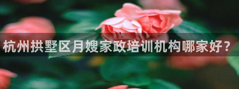 杏悦平台登陆