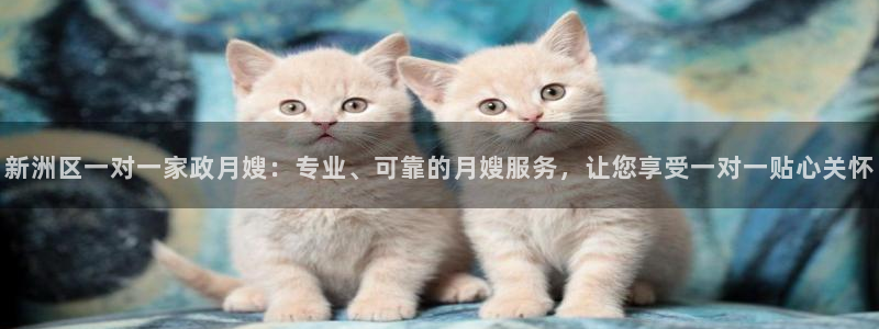 杏悦总代理