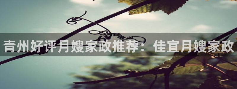 杏悦地址